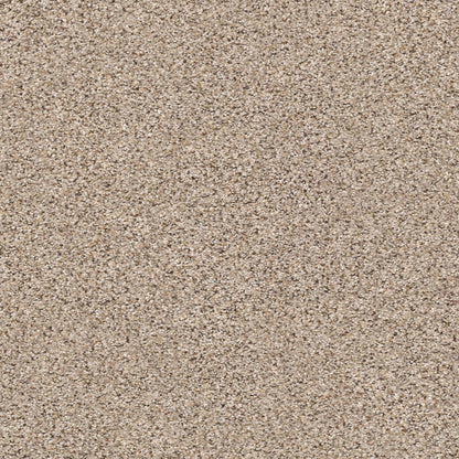 BERBER CUT PILE