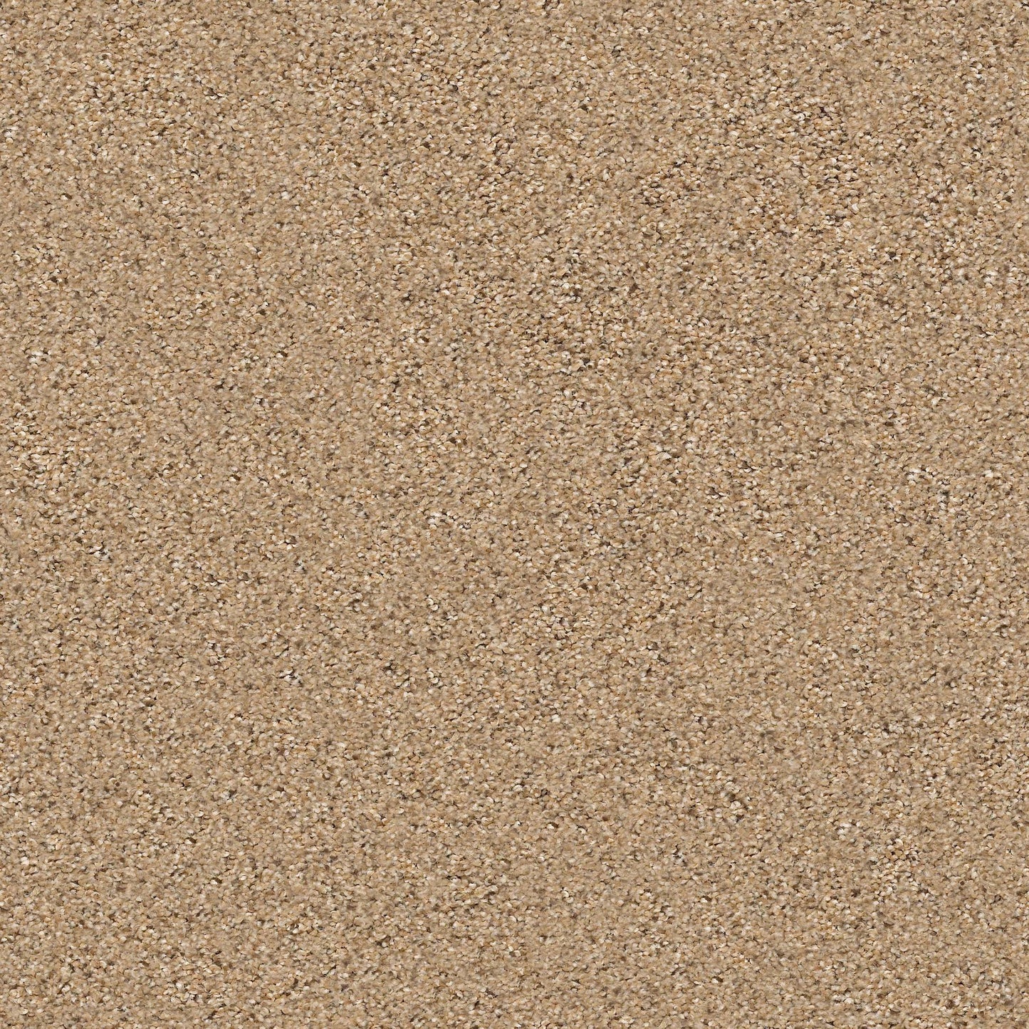 BERBER CUT PILE