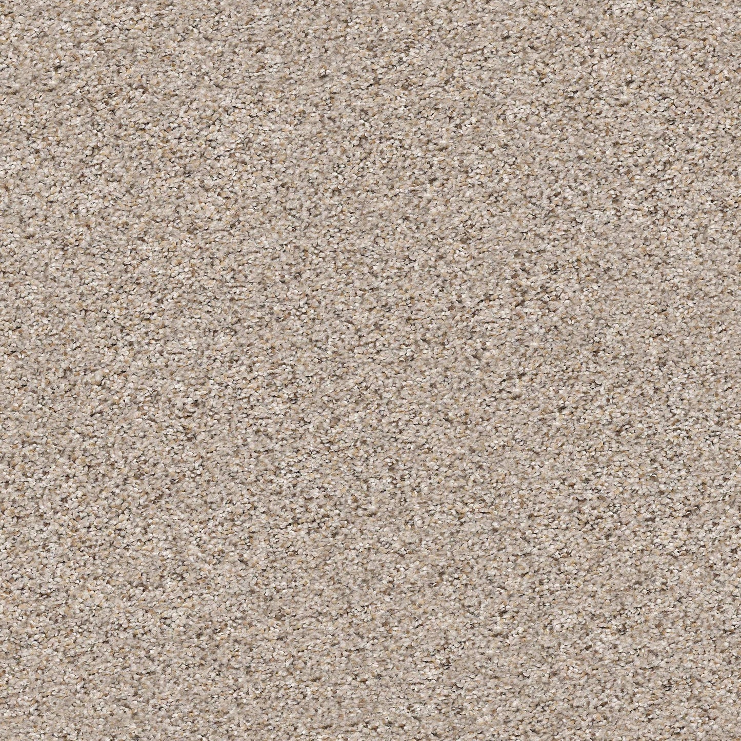 BERBER CUT PILE