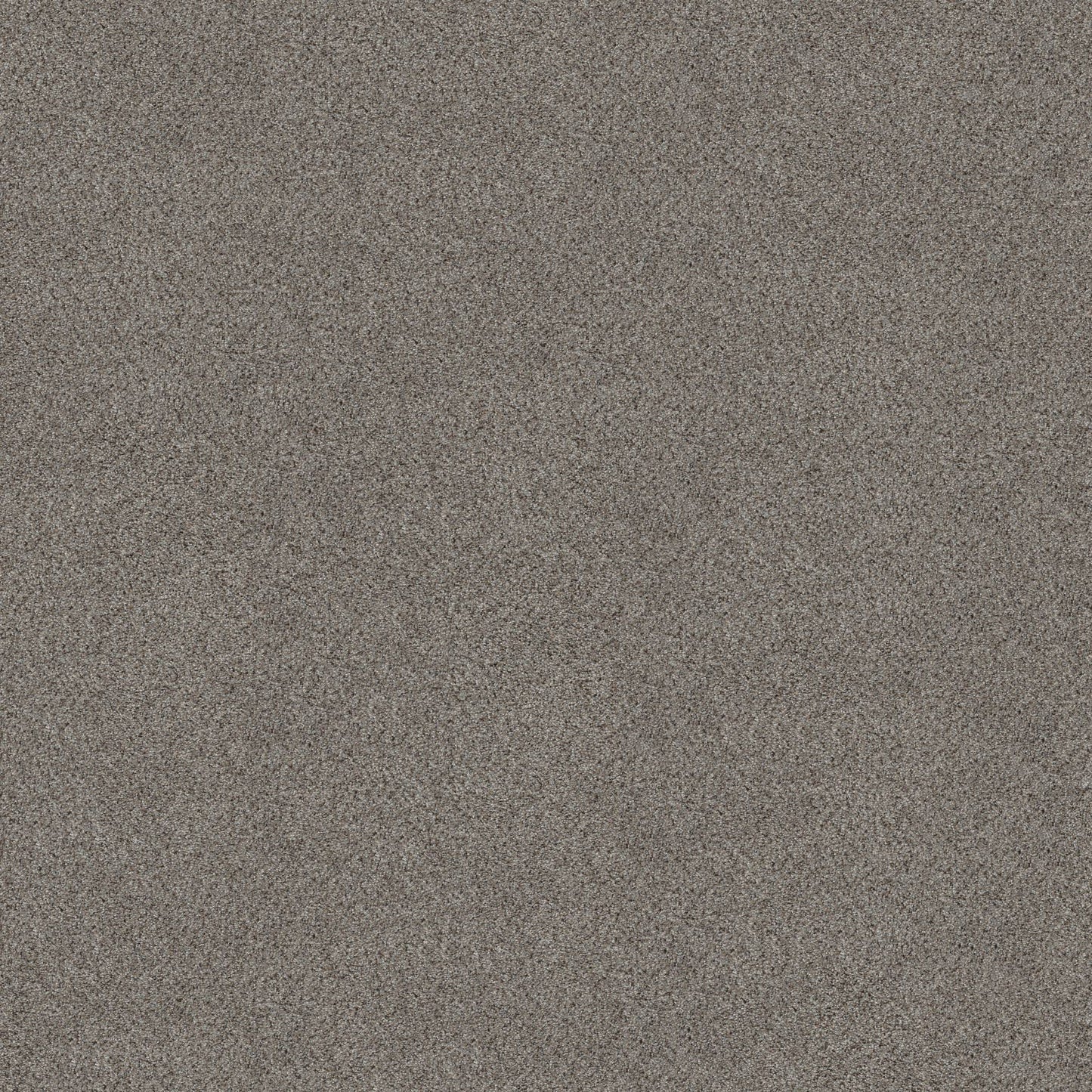 BERBER CUT PILE