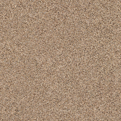 BERBER CUT PILE