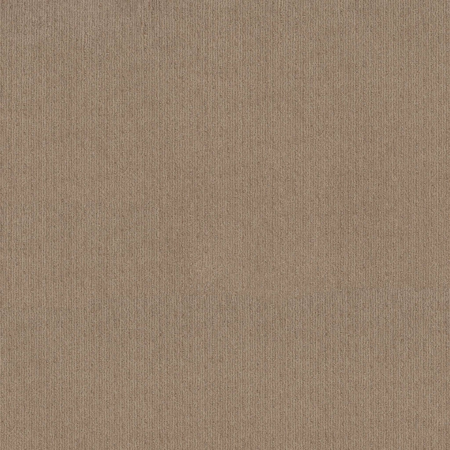 CUT UNCUT  R