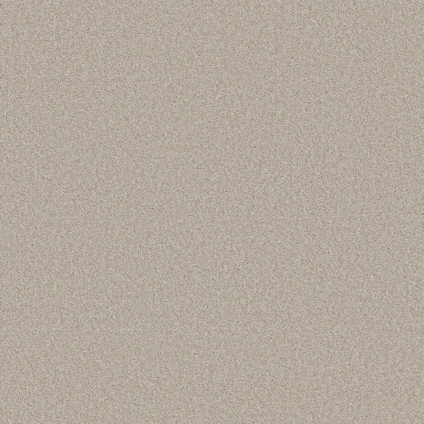 TEXTURE BCF
