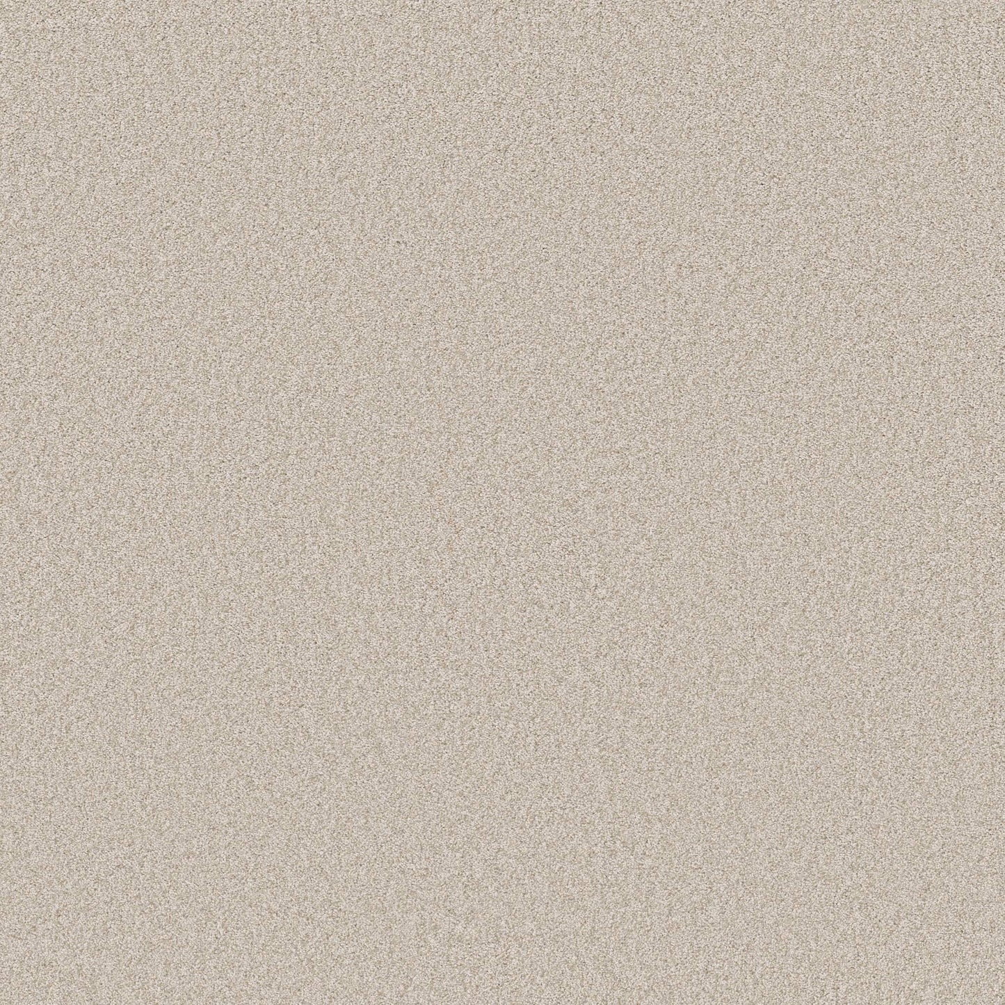 TEXTURE BCF