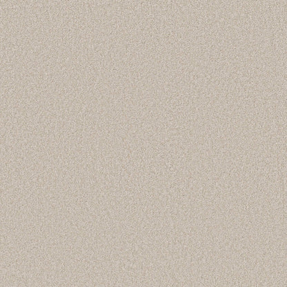 TEXTURE BCF