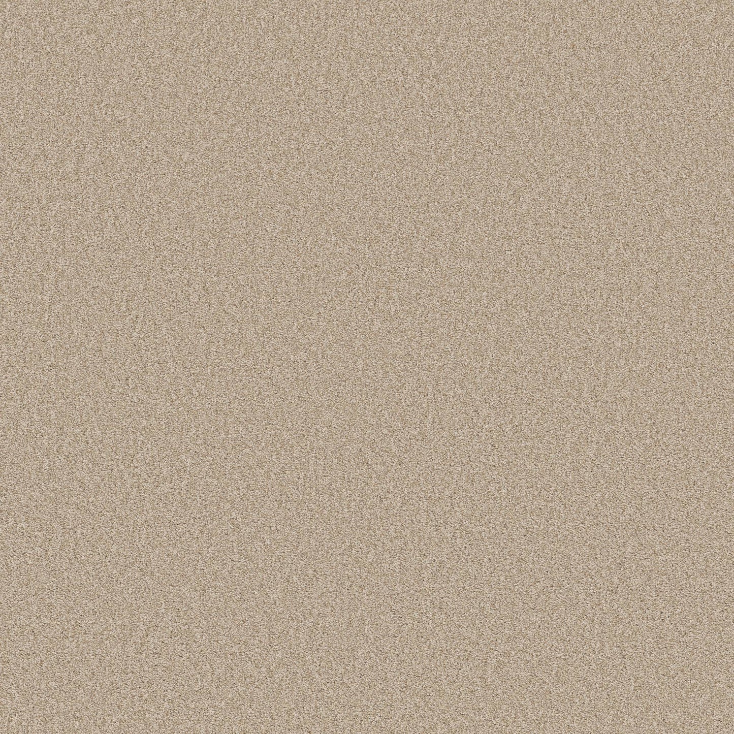 TEXTURE BCF