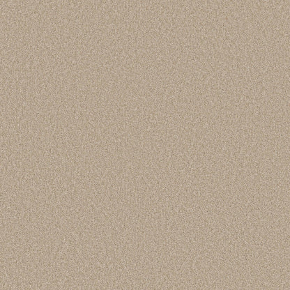 TEXTURE BCF