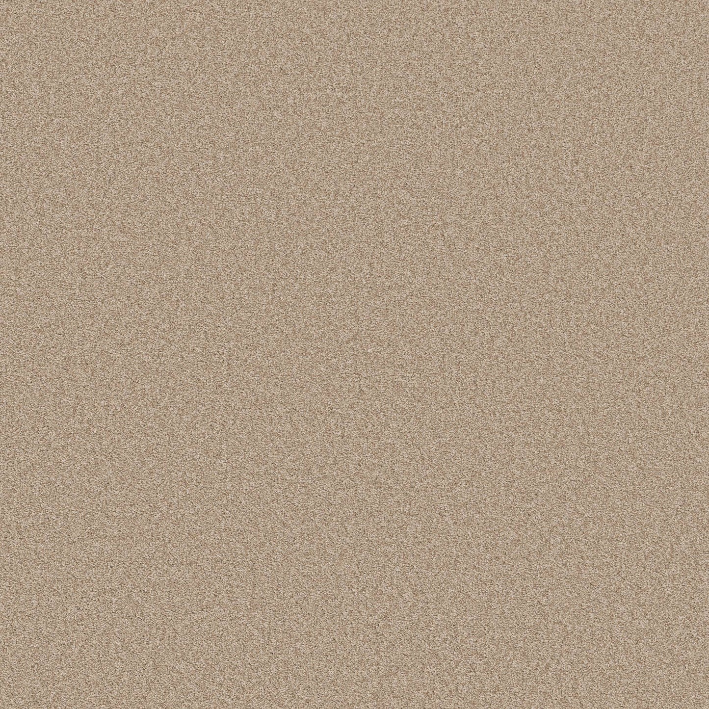 TEXTURE BCF