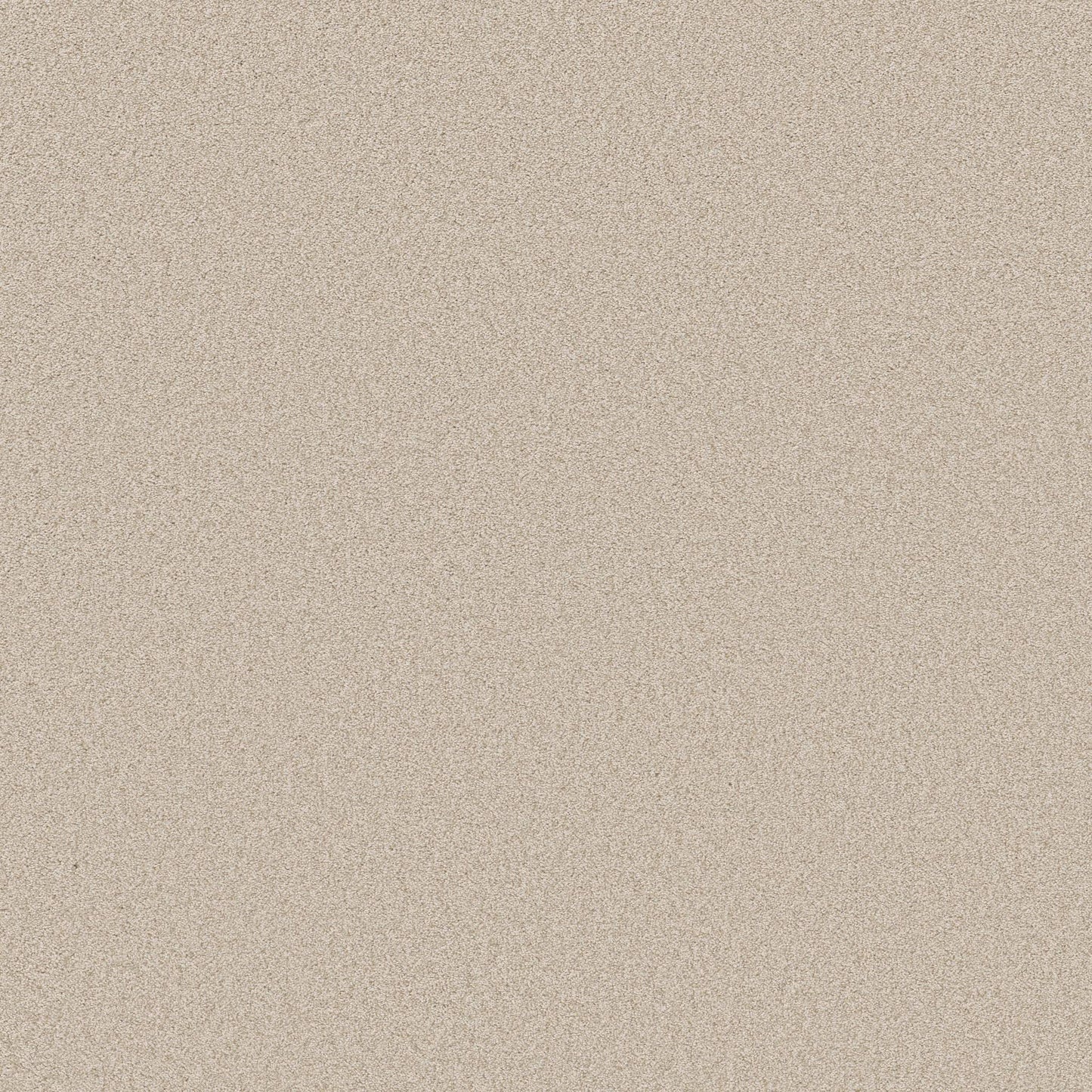 TEXTURE BCF
