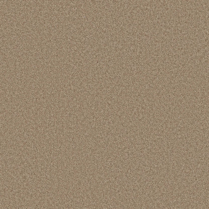 TEXTURE BCF