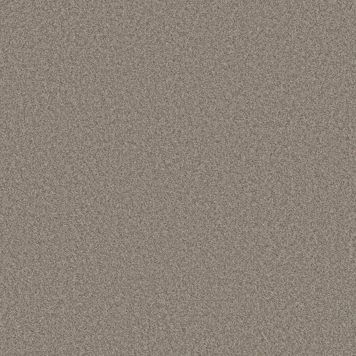 TEXTURE BCF
