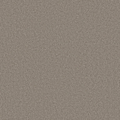 TEXTURE BCF