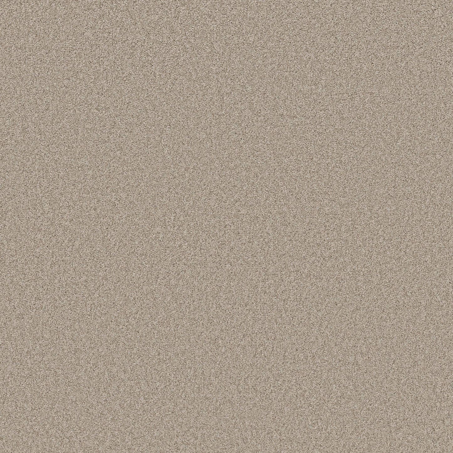TEXTURE BCF