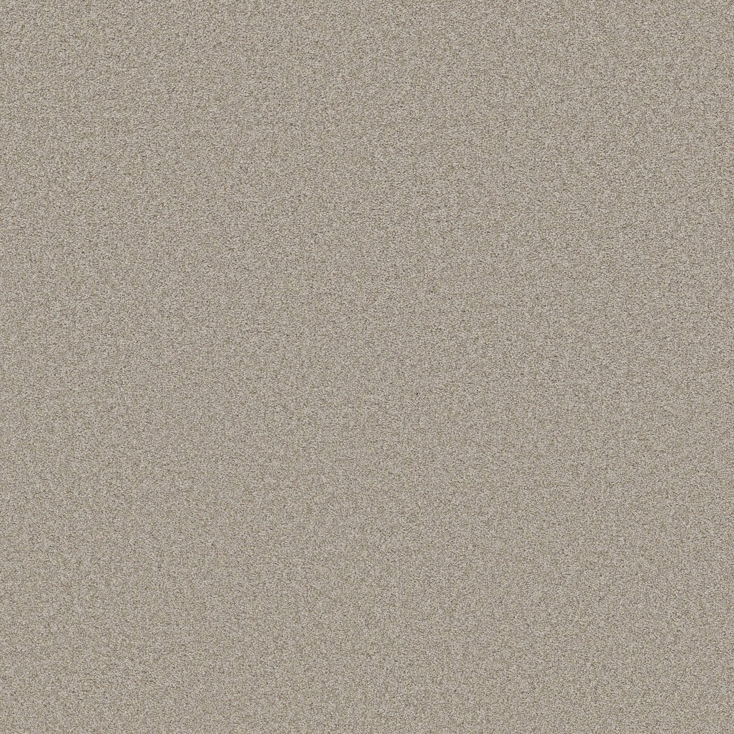 TEXTURE BCF