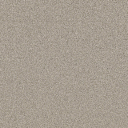TEXTURE BCF