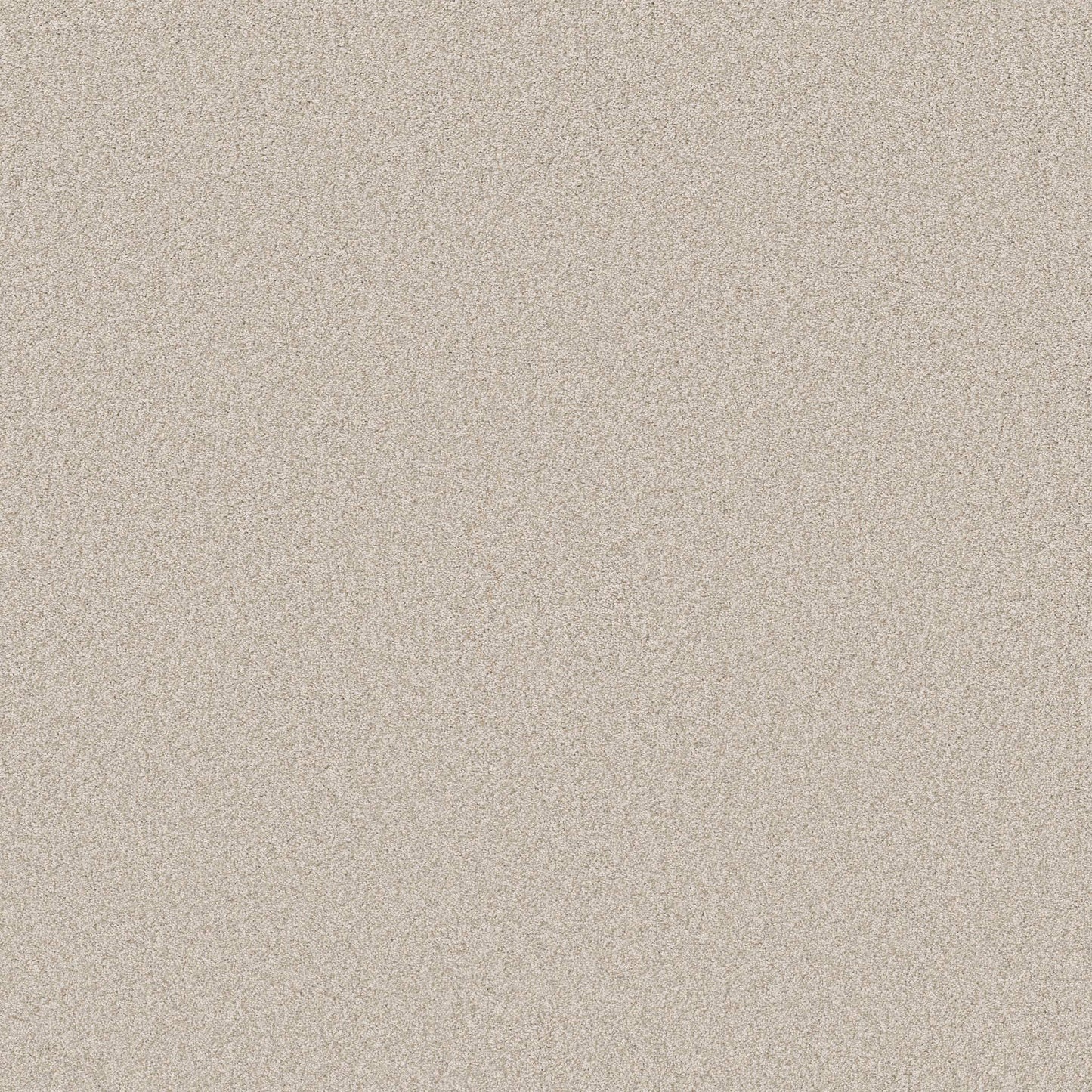 TEXTURE BCF