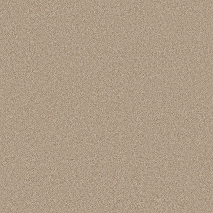 TEXTURE BCF