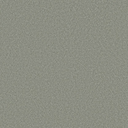 TEXTURE BCF