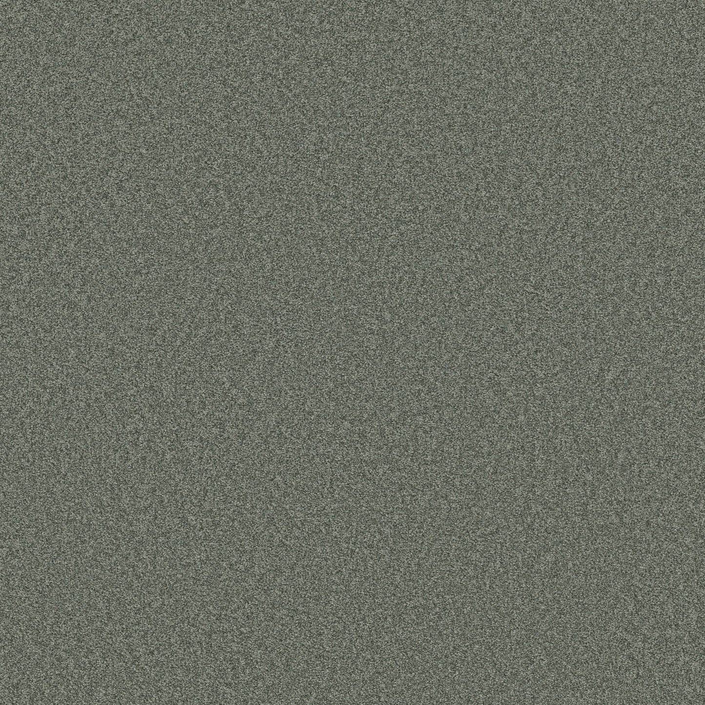 TEXTURE BCF