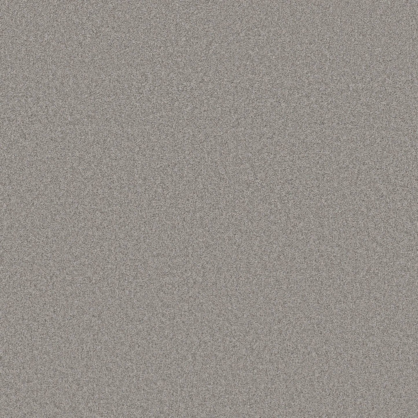 TEXTURE BCF