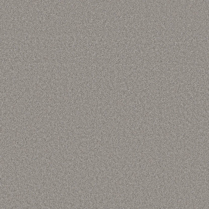 TEXTURE BCF