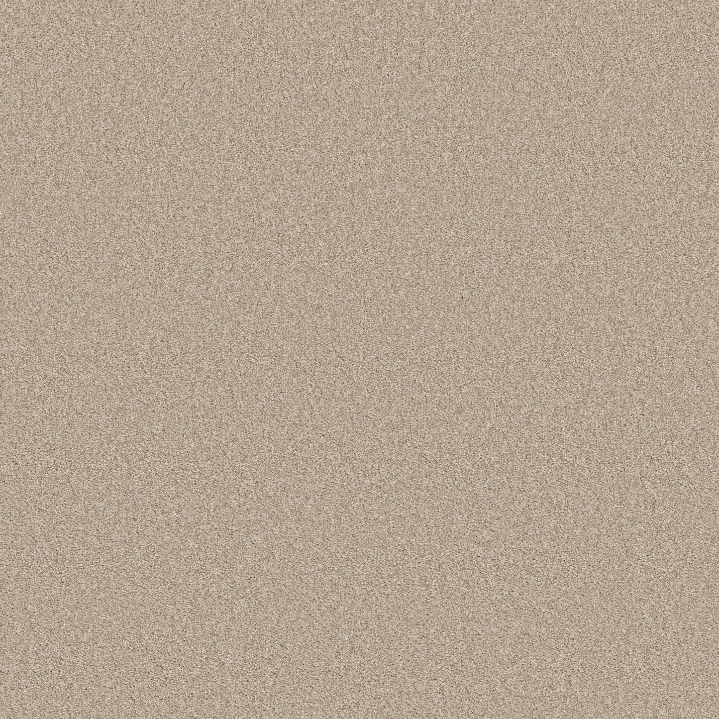 TEXTURE BCF