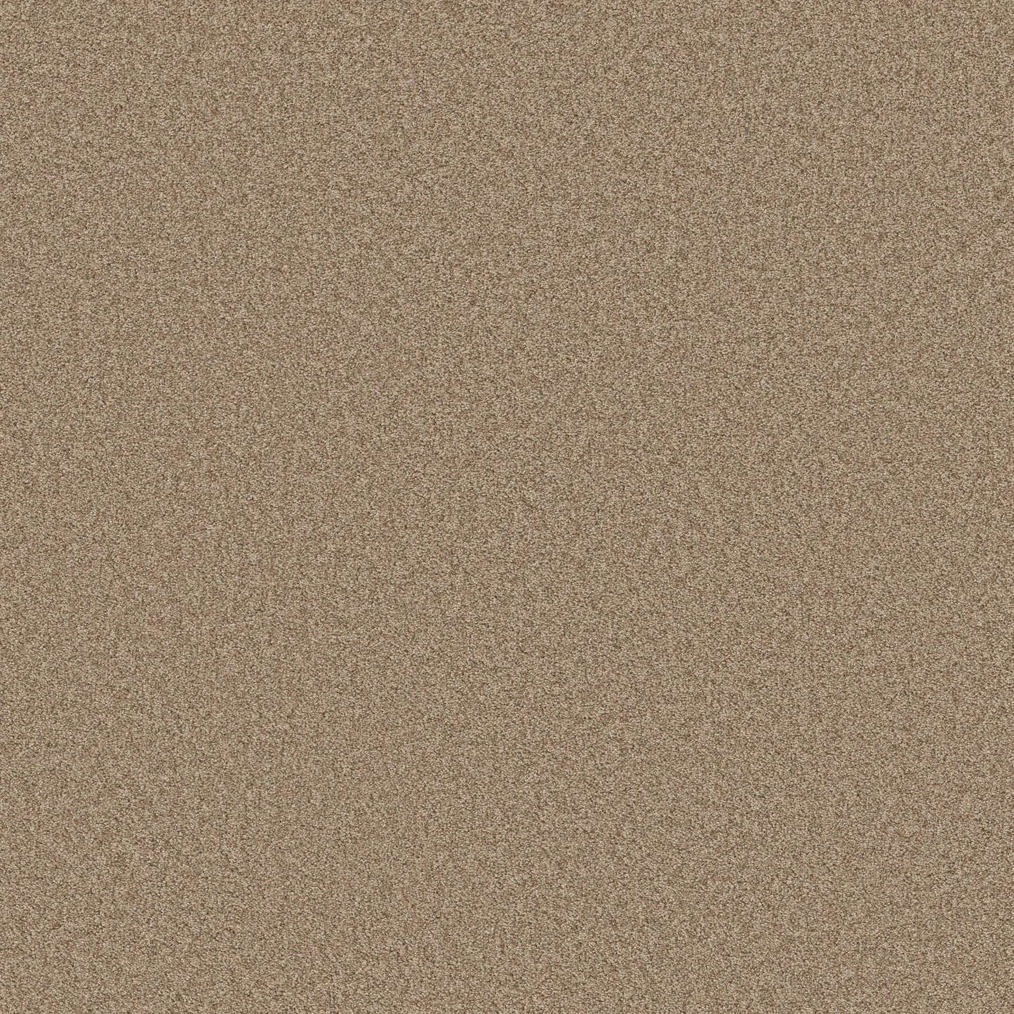 TEXTURE BCF