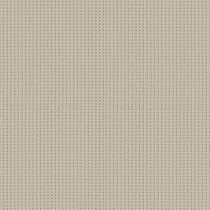 BERBER NYLON LOOP