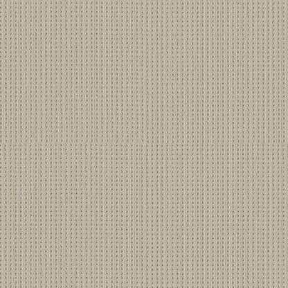BERBER NYLON LOOP