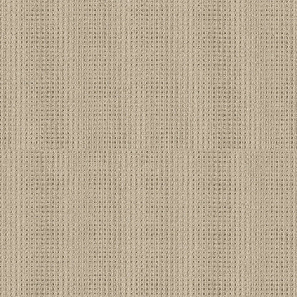 BERBER NYLON LOOP