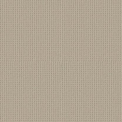 BERBER NYLON LOOP