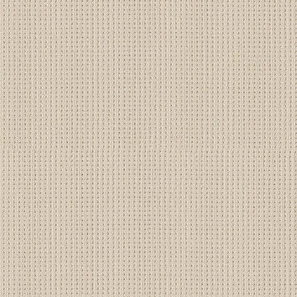 BERBER NYLON LOOP