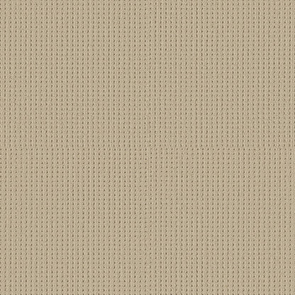 BERBER NYLON LOOP