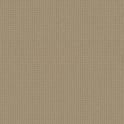 BERBER NYLON LOOP