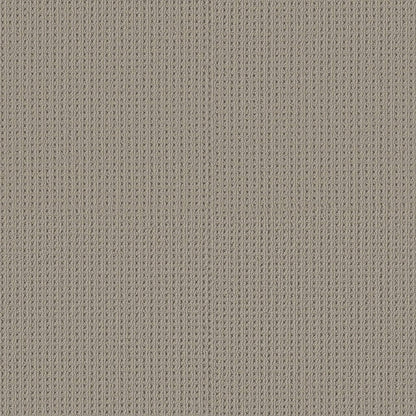 BERBER NYLON LOOP