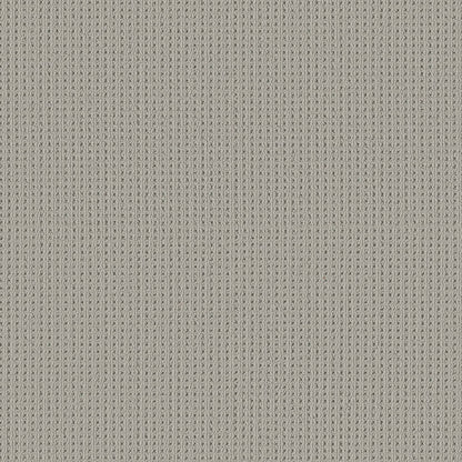 BERBER NYLON LOOP