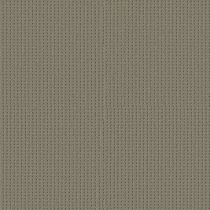 BERBER NYLON LOOP