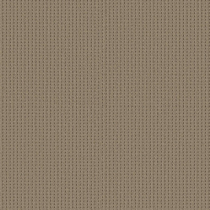 BERBER NYLON LOOP