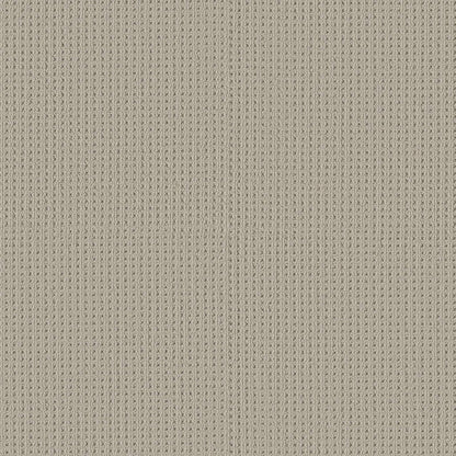 BERBER NYLON LOOP