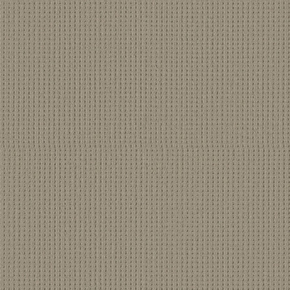 BERBER NYLON LOOP