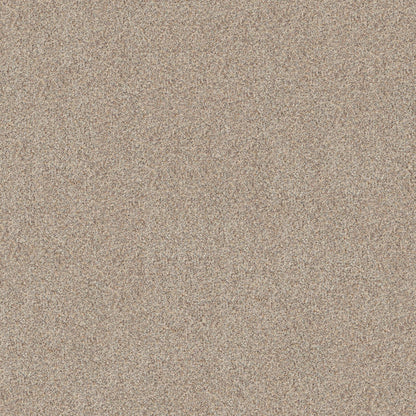 BERBER CUT PILE