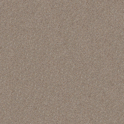 BERBER CUT PILE
