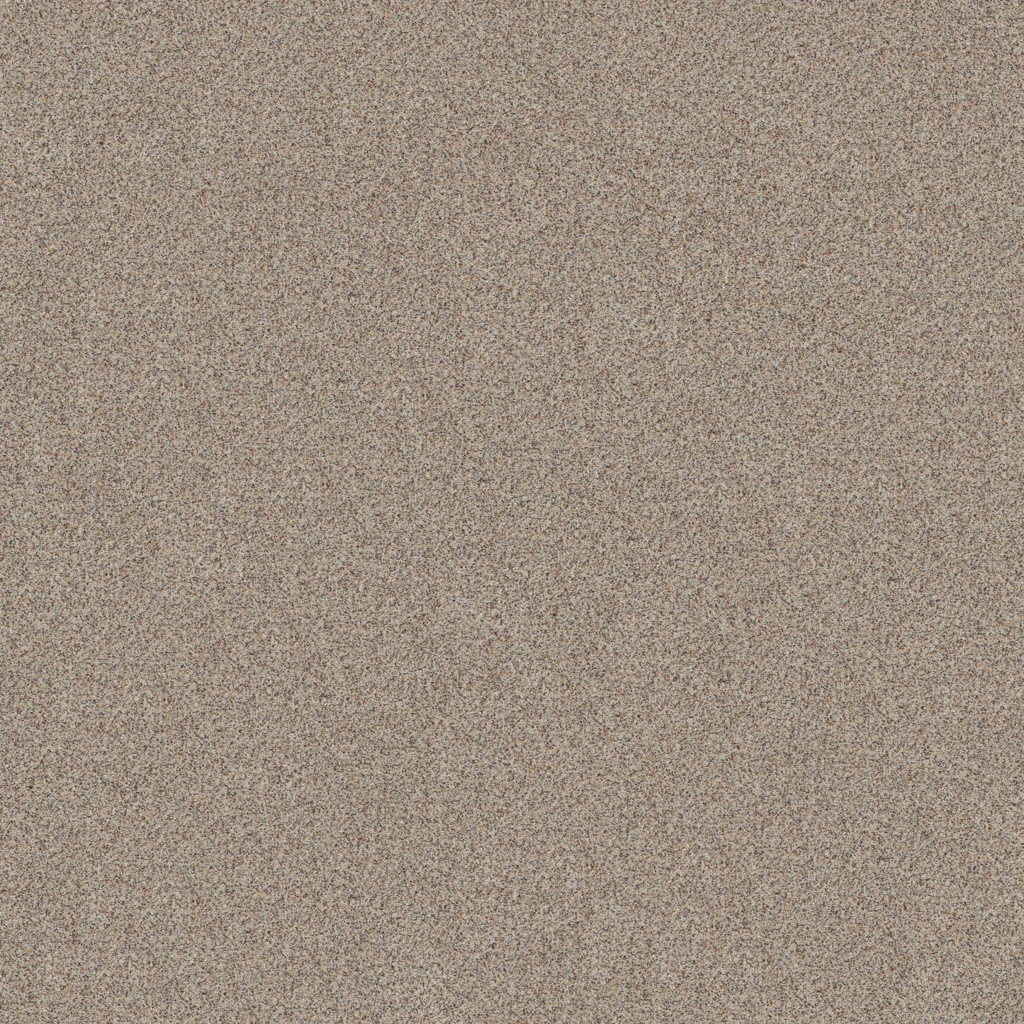 BERBER CUT PILE