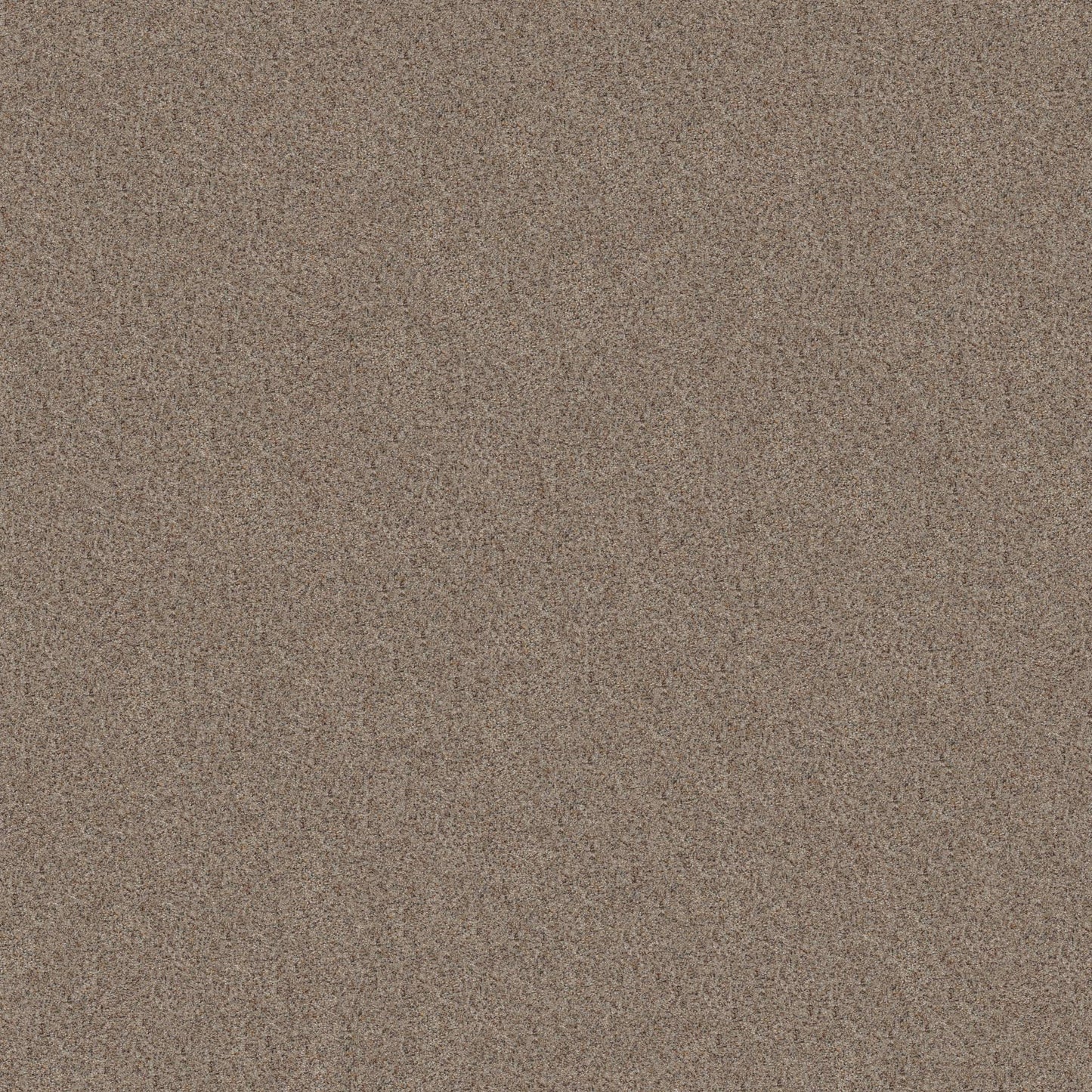BERBER CUT PILE