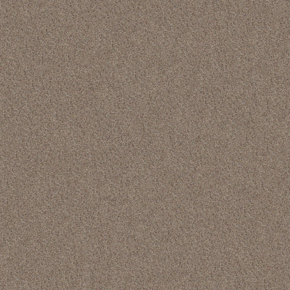 BERBER CUT PILE