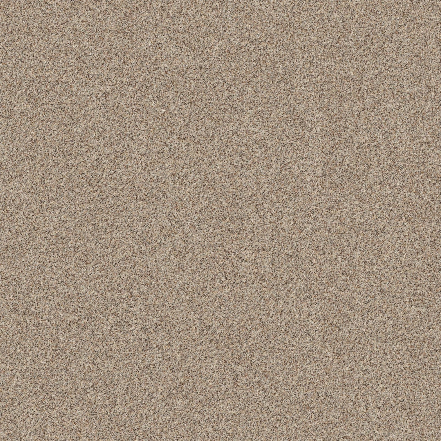 BERBER CUT PILE