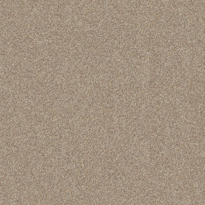 BERBER CUT PILE