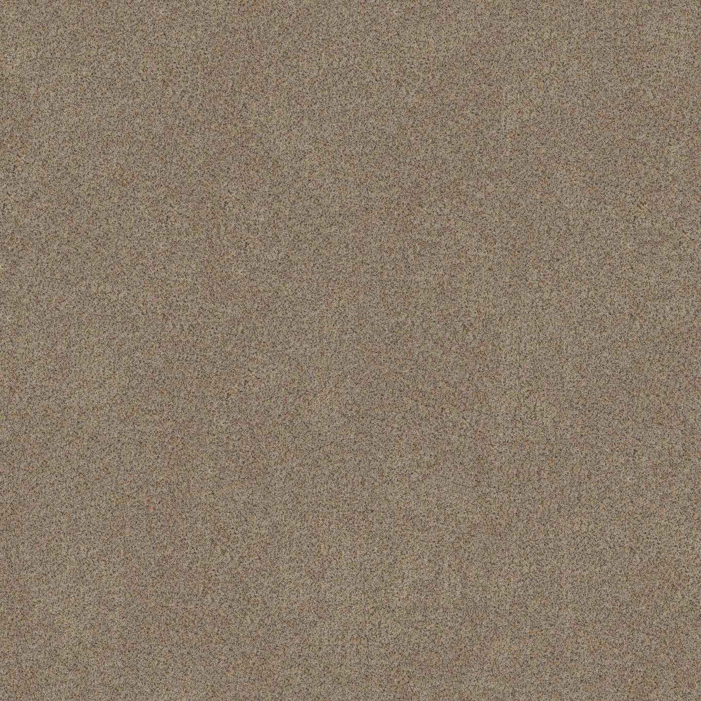 BERBER CUT PILE