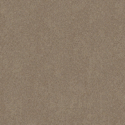 BERBER CUT PILE