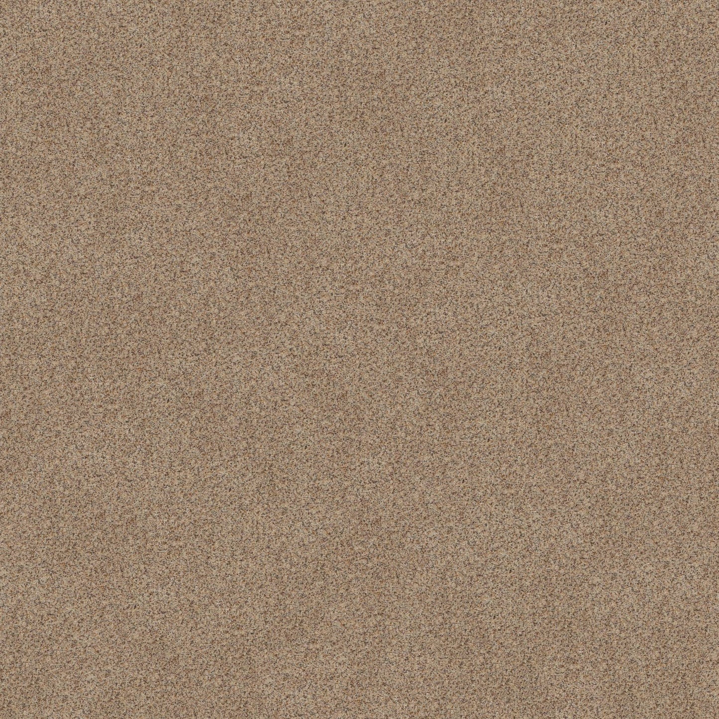 BERBER CUT PILE